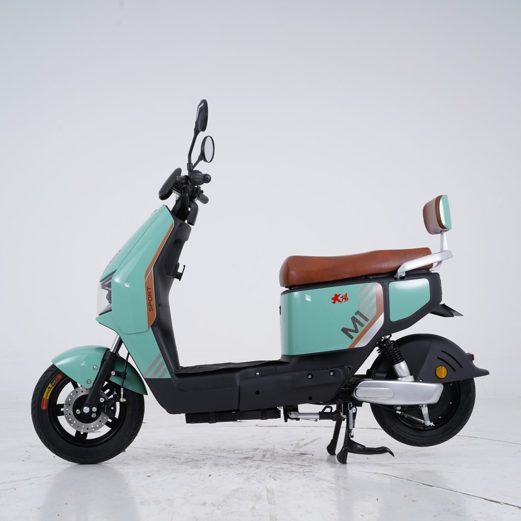 Ecooter EM1 electric scooter